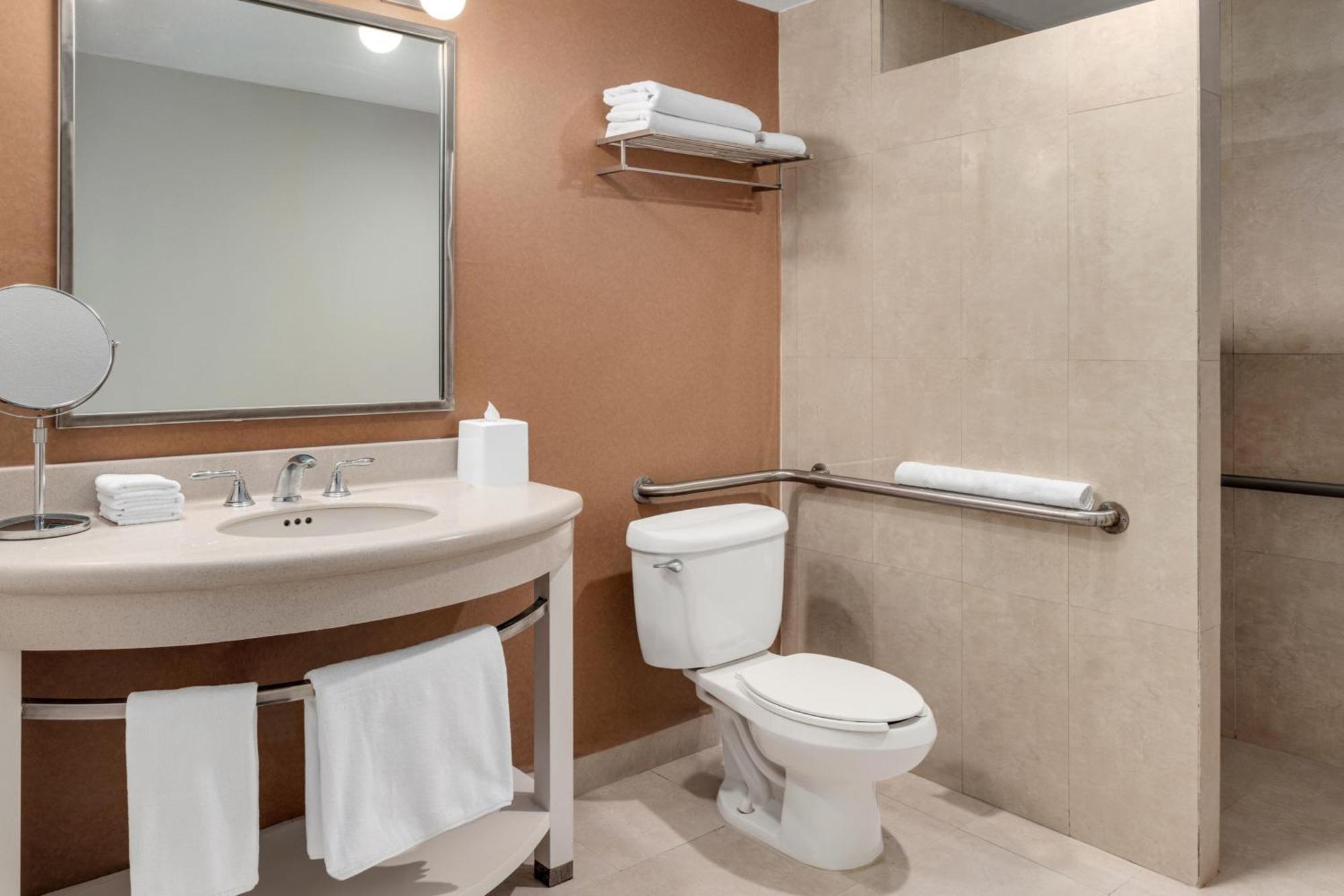 加莱里亚斯蒙特雷喜来登酒店 外观 照片 A bathroom in a hotel